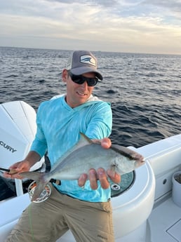 Amberjack Fishing in Jupiter, Florida