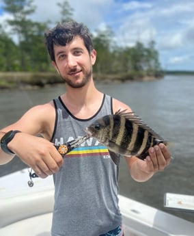 Sheepshead fishing in Mount Pleasant, South Carolina