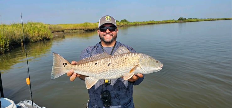 Redfish Fishing in Mount Pleasant, South Carolina