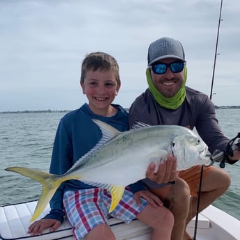 Jack Crevalle fishing in Sarasota, Florida