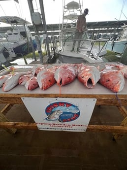 Red Snapper Fishing in Galveston, Texas