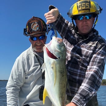 Jack Crevalle fishing in Hudson, Florida