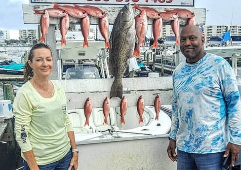 Gag Grouper, Vermillion Snapper fishing in Destin, Florida