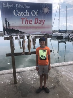 Black Drum, Redfish fishing in Rockport, Texas