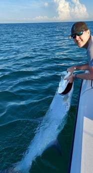 Tarpon fishing in Clearwater, Florida