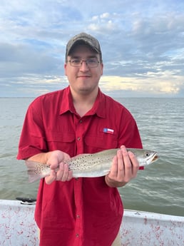 Speckled Trout / Spotted Seatrout fishing in Galveston, Texas