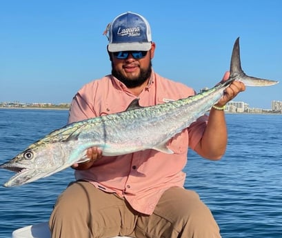 King Mackerel / Kingfish fishing in South Padre Island, Texas