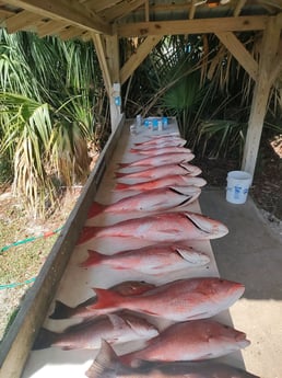 Fishing in Port St. Joe, Florida