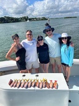 Lane Snapper, Yellowtail Snapper Fishing in Jupiter, Florida