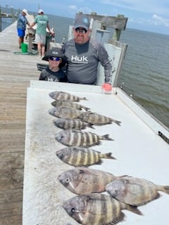 Sheepshead Fishing in Gulf Shores, Alabama