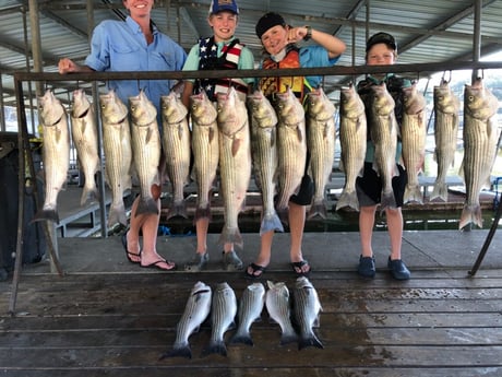 Striped Bass fishing in Whitney, Texas