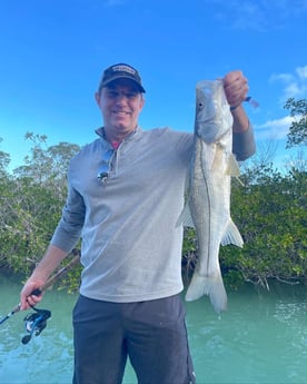 Snook Fishing in Key Largo, Florida