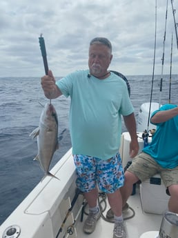 Amberjack Fishing in Destin, Florida