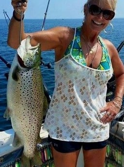 Brown Trout Fishing in Verona Beach, New York