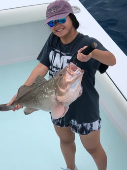 Red Grouper fishing in Key West, Florida