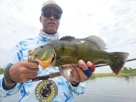 Fishing in Fort Lauderdale, Florida