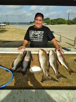 Blue Catfish, Redfish Fishing in San Antonio, Texas