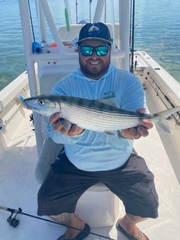 Snook fishing in Key Largo, Florida