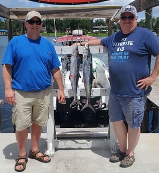 King Mackerel / Kingfish fishing in Panama City, Florida