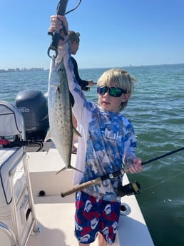 Speckled Trout / Spotted Seatrout fishing in Sarasota, Florida