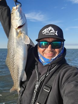 Speckled Trout / Spotted Seatrout Fishing in Rio Hondo, Texas