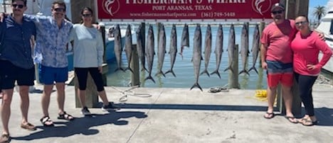 King Mackerel / Kingfish Fishing in Port Aransas, Texas