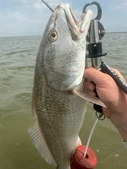 Redfish Fishing in Matagorda, Texas