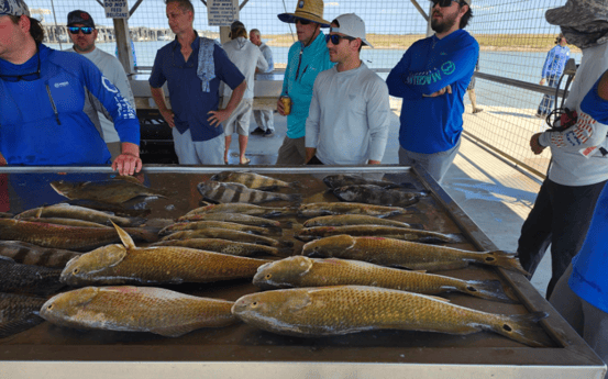 Fishing in Matagorda, Texas