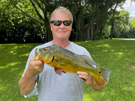 Fishing in Davie, Florida