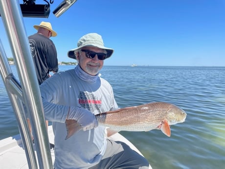 Redfish fishing in St. Petersburg, Florida