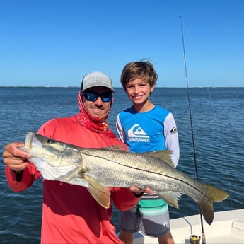 Speckled Trout / Spotted Seatrout fishing in Sarasota, Florida