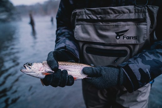 Fishing in Broken Bow, Oklahoma