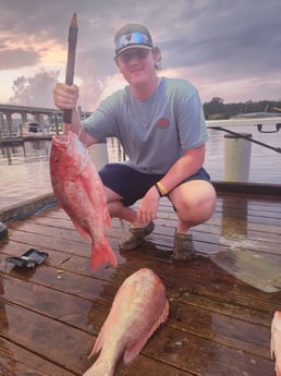 Red Snapper Fishing in Pensacola, Florida