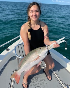 Mahi Mahi / Dorado fishing in Key Largo, Florida