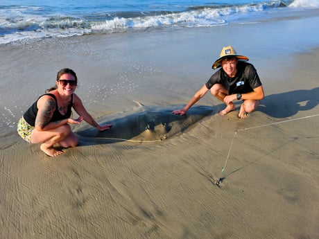 Stingray Fishing in Stone Harbor, New Jersey