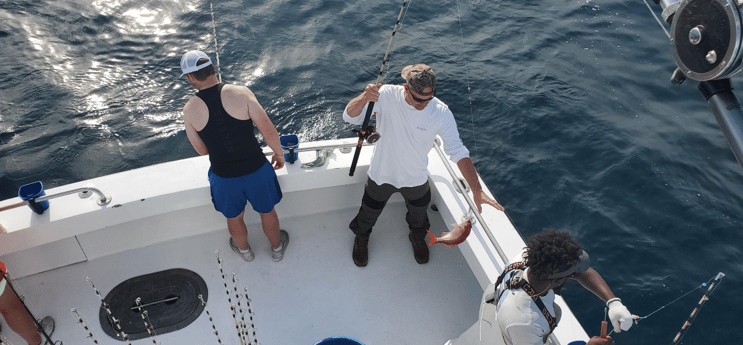 Vermillion Snapper Fishing in Orange Beach, Alabama