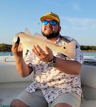 Redfish fishing in South Padre Island, Texas