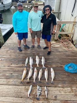 Black Drum, Redfish, Speckled Trout / Spotted Seatrout fishing in Port O&#039;Connor, Texas