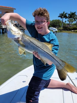 Snook fishing in Clearwater, Florida