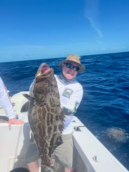 Black Grouper fishing in Islamorada, Florida