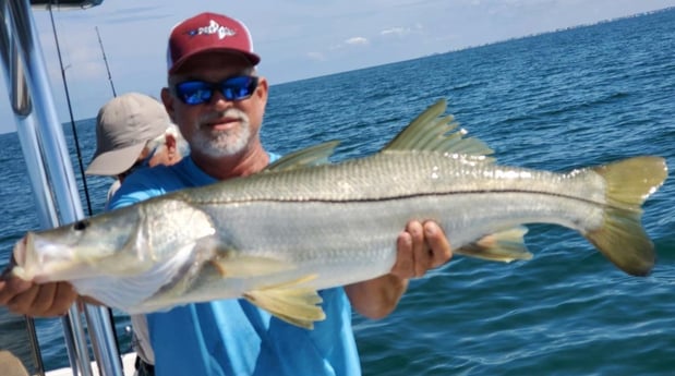 Snook fishing in St. Petersburg, Florida