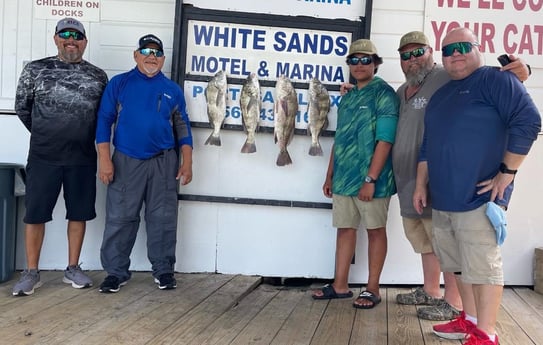 Black Drum Fishing in Port Isabel, Texas