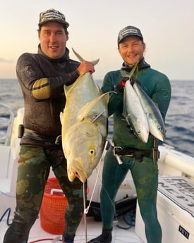 Rainbow Runner, Yellowtail Amberjack Fishing in Islamorada, Florida