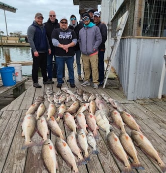 Black Drum, Redfish fishing in Port O&#039;Connor, Texas