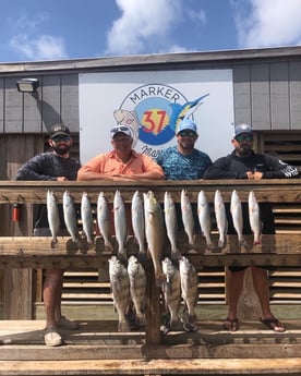 Black Drum, Redfish, Speckled Trout / Spotted Seatrout fishing in Corpus Christi, Texas