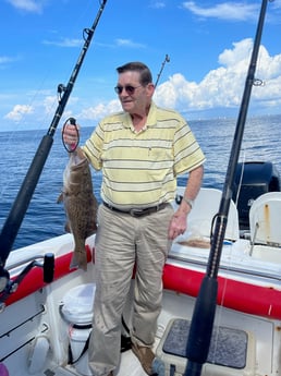 Gag Grouper fishing in Panama City Beach, Florida