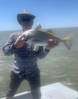 Black Drum fishing in Corpus Christi, Texas