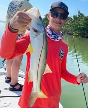 Snook fishing in Tavernier, Florida