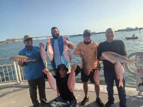 Red Grouper, Red Snapper Fishing in Clearwater, Florida