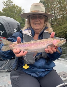 Rainbow Trout fishing in Knoxville, Tennessee